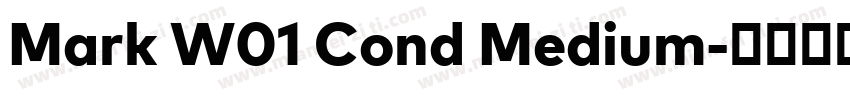 Mark W01 Cond Medium字体转换